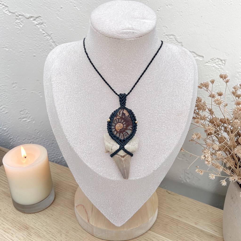 Ancient Waters — Ammonite & Fossil Shark Tooth Macramé Necklace