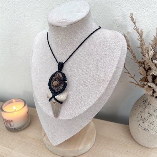 Ancient Waters — Ammonite & Fossil Shark Tooth Macramé Necklace
